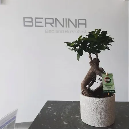 Bernina 호텔