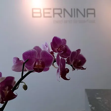 Hotel Bernina 3*