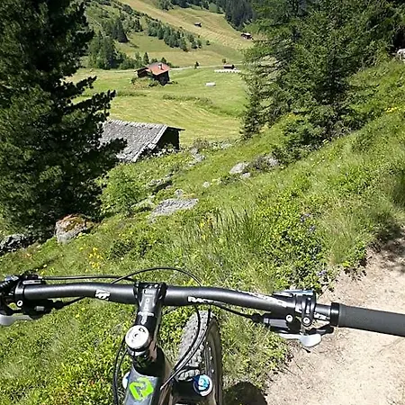 Bernina