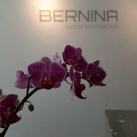 호텔 Bernina 다보스